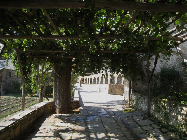 IMG_3638 Stavronikita aquaduct and vines