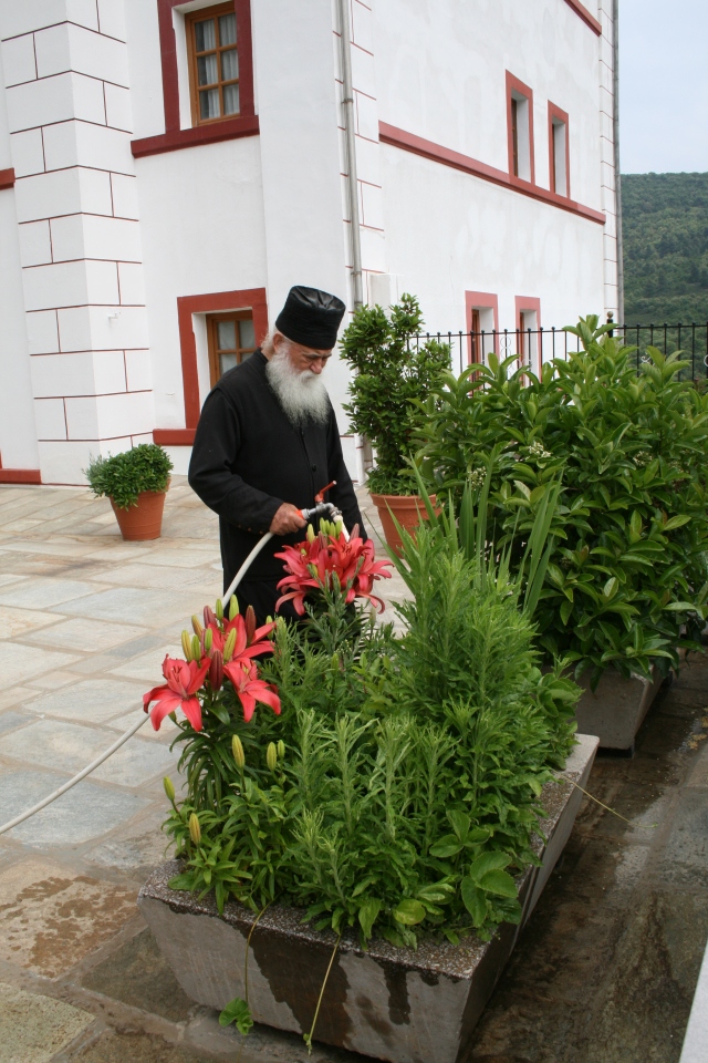013 Skiti Prof Eliou flowers and monk
